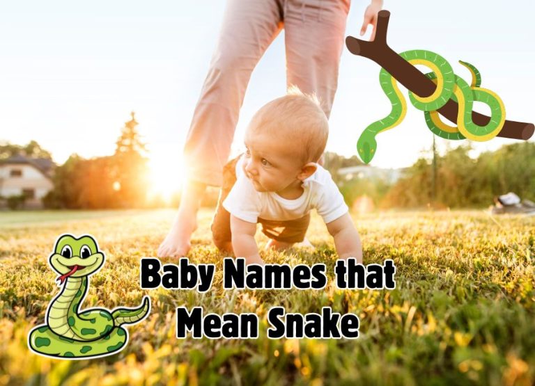 image shows a baby crawling by snakes
